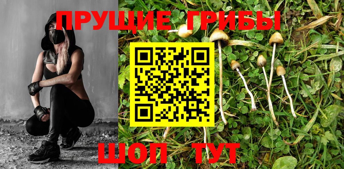 Псилоцибиновые грибы MAGIC MUSHROOMS  как найти   Сегежа  Вход с VPN 
